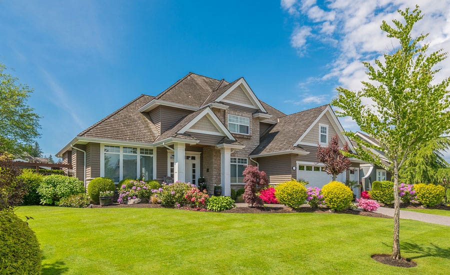 Property Search